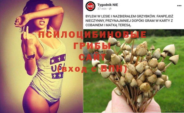 крисы Россошь