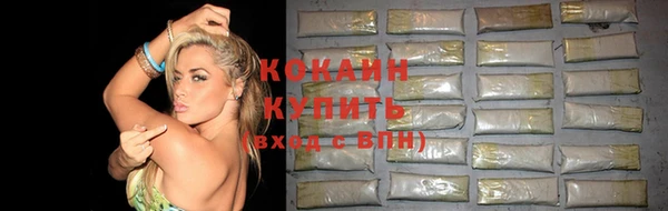 дмт Рославль
