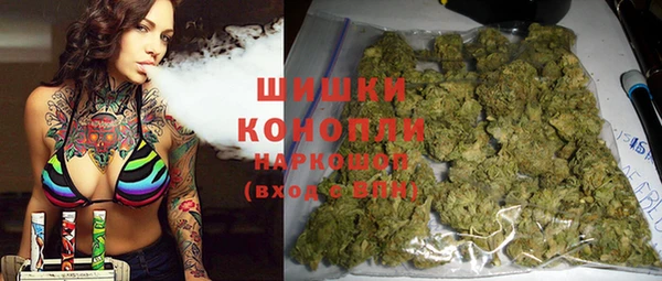 дмт Рославль