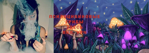 дмт Рославль