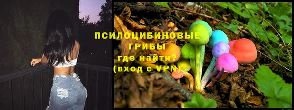 крисы Россошь