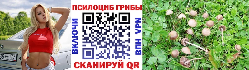 Галлюциногенные грибы мухоморы  Купить где  Полевской 